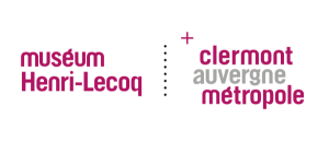 logo Muséum Henri-Lecoq (couleurs)